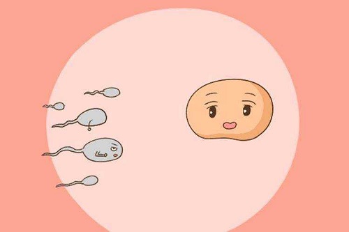 试管婴儿不成功的原因主要是医院还是患者？
