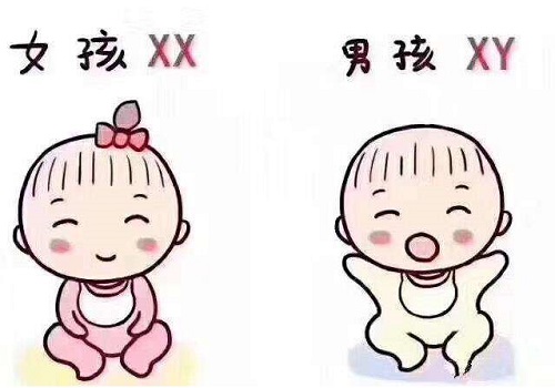 试管婴儿为无生育人群带来希望