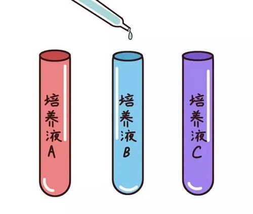 试管婴儿三代费用是多少