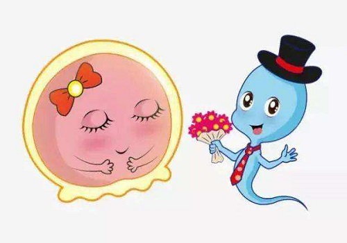 试管婴儿前期准备有哪些？这八个建议你收藏好！
