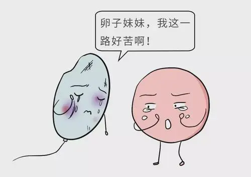 试管婴儿促排卵阶段要注意的事项有哪些