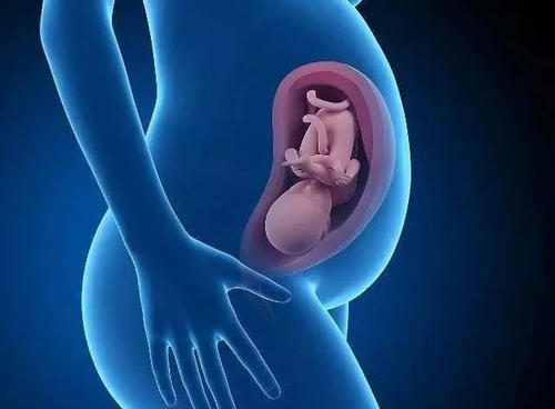 取卵多受精率低？美国试管婴儿专家：您选对方案了吗？