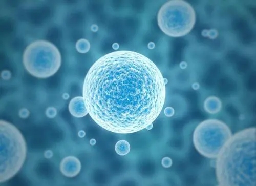 试管婴儿什么时候开始打针？和自然受孕出生孩子有差别吗？