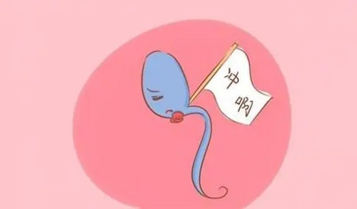 试管婴儿做个的费用大约多少？