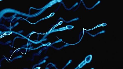 试管婴儿不成功的原因主要是医院还是患者？