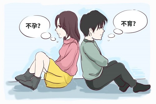 试管婴儿90%不是自己的？真相揭秘