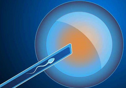 试管囊胚等级与健康有关吗？