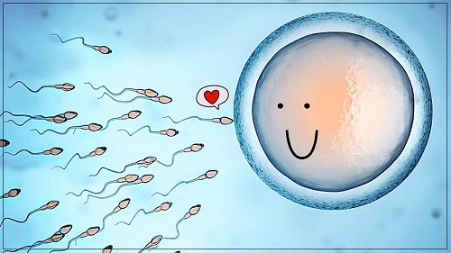 双侧卵巢有1CM左右的巧囊，影响美国试管婴儿取卵吗？