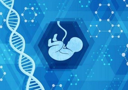 准备做美国试管婴儿，自身卵子质量不佳怎么办？
