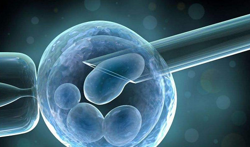 泰国试管放2个、3个胚胎的成活率高吗？