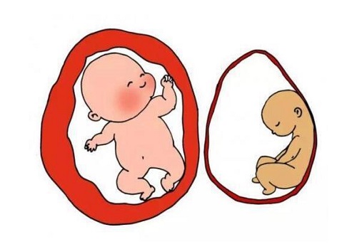 试管婴儿全过程是什么？原来有4步